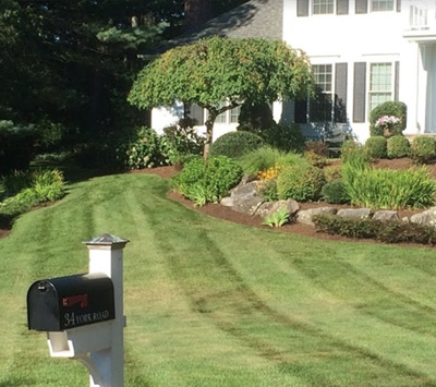 Photo of a beautiful green garden